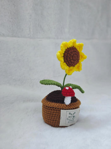 Mini Piante "Girasole e Funghi"