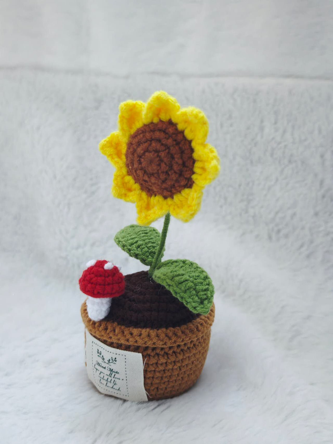 Mini Piante "Girasole e Funghi"
